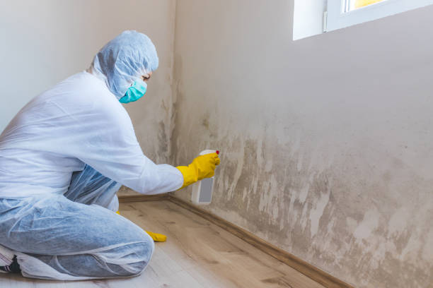 Hvac And Air Duct Mold Remediation inspection of HVAC system in Auburndale
