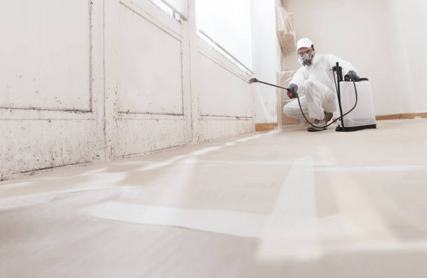 Black mold remediation team in Auburndale